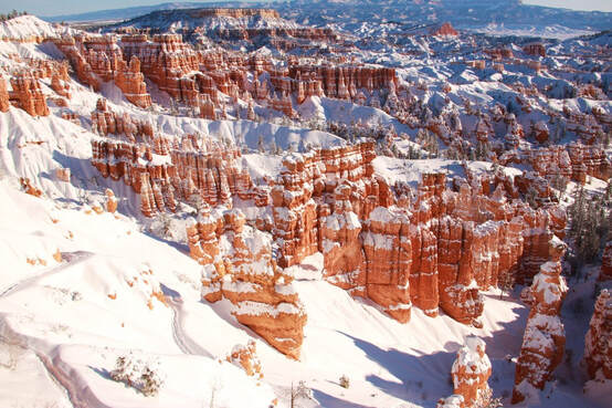 A snowy landscape in Bryce Canyon National Park in winter.