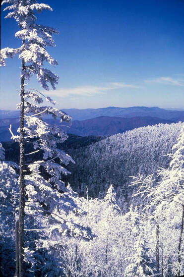 A snowy landscape in Great Smoky Mountains National Park in winter.