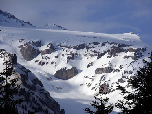 A snowy landscape in Mount Rainier National Park in winter.