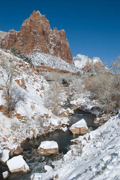 A snowy landscape in Zion National Park in winter.