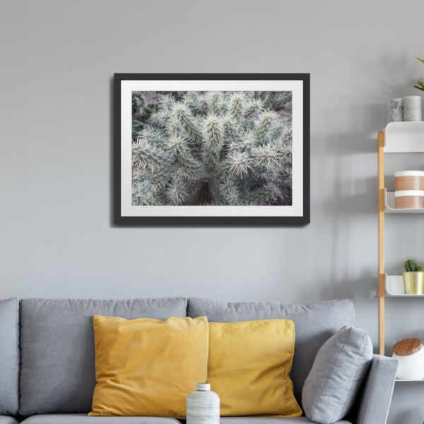 Cholla Cactus Wall Art – Southwestern Arizona Desert Landscape - Image 5