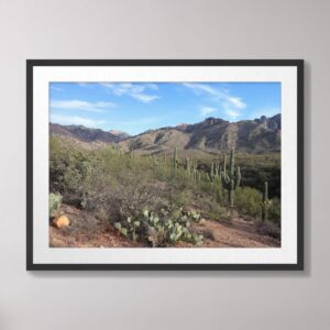 A serene desert landscape featuring tall saguaros, prickly pear cacti, and rugged mountain peaks under a vibrant blue sky at Catalina State Park in Tucson, Arizona.