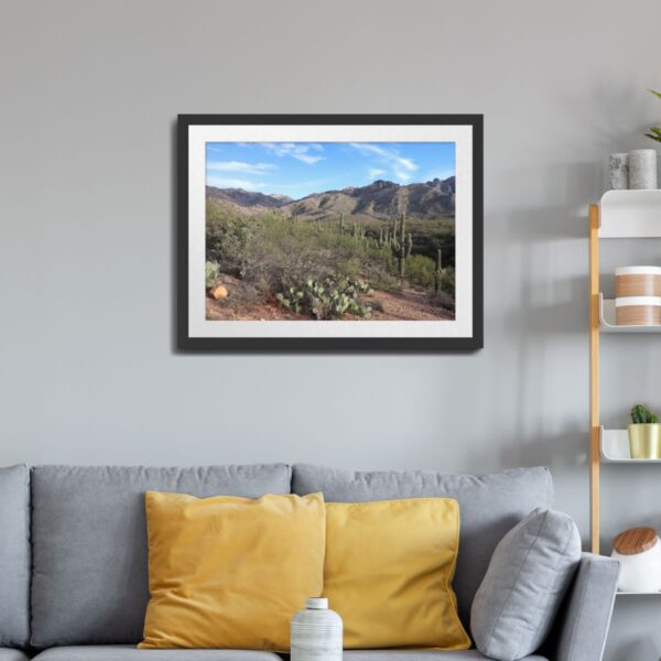 Desert Landscape Wall Art – Catalina State Park, Tucson, Arizona - Image 5