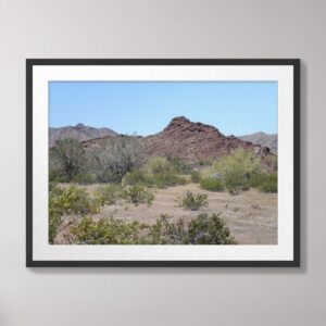 A desert landscape featuring red rock formations, desert vegetation, and a bright blue sky in Southwestern Arizona.