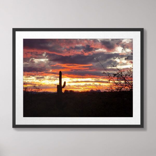 A stunning desert sunset featuring vivid orange, red, and purple skies with a silhouetted saguaro cactus in Catalina State Park, Tucson, Arizona.