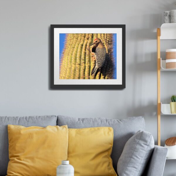 Gila Woodpecker on Saguaro Cactus Print – Kofa National Wildlife Refuge, Arizona - Image 2