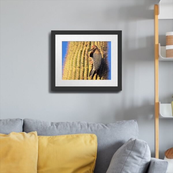 Gila Woodpecker on Saguaro Cactus Print – Kofa National Wildlife Refuge, Arizona - Image 3