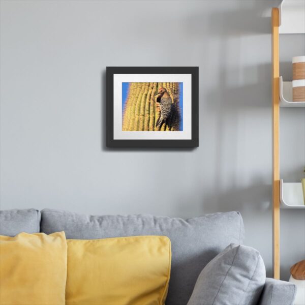 Gila Woodpecker on Saguaro Cactus Print – Kofa National Wildlife Refuge, Arizona - Image 4