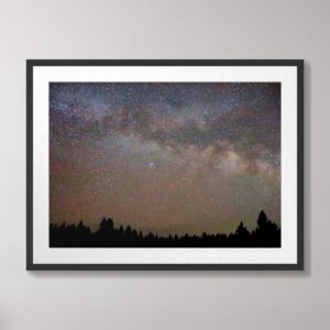 A stunning photograph of the Milky Way stretching across the night sky, framed by silhouetted pine trees at June Lake, California.