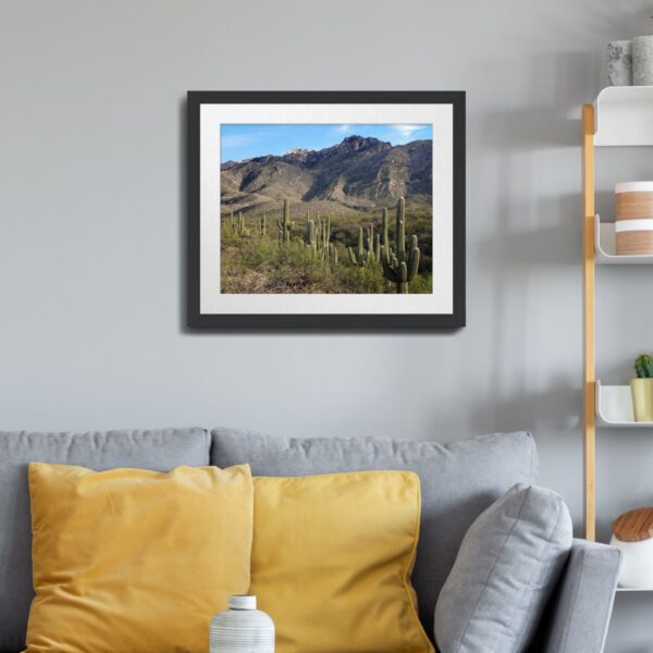 Saguaro Cactus Wall Art – Catalina State Park, Tucson, Arizona - Image 5