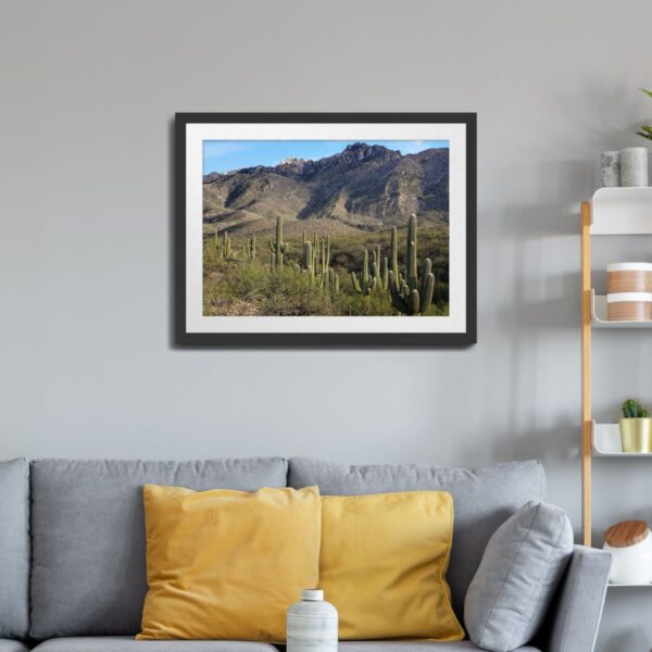 Saguaro Cactus Wall Art – Catalina State Park, Tucson, Arizona - Image 2