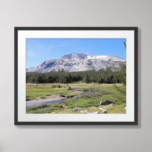 A tranquil view of Tuolumne Meadows in Yosemite National Park, featuring lush green meadows, a winding stream, and the majestic Sierra Nevada mountains under a clear blue sky.