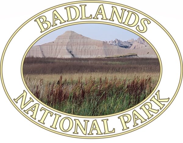 Reeds at Badlands National Park T-Shirt - Scenic Graphic on Comfort Colors Heavyweight (front print, transparent graphic) - Image 2