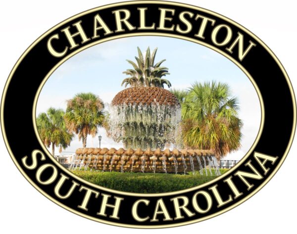 Charleston T-Shirt - Pineapple Fountain Graphic on Comfort Colors Heavyweight (Back print, black graphic) - Image 2