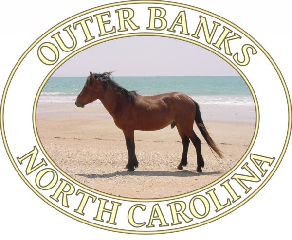 Outer Banks T-Shirt - Wild Horses Graphic on Comfort Colors Heavyweight (Back print, transparent graphic) - Image 2