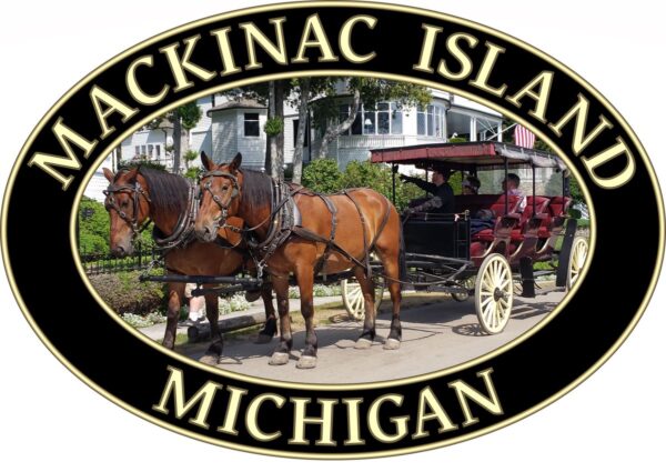 Mackinac Island T-Shirt - Horse and Carriage West Bluff Graphic on Comfort Colors Heavyweight (Front print, black graphic) - Image 2