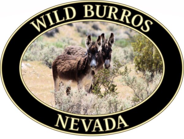 Wild Burros Nevada T-Shirt - Desert Wildlife Graphic on Comfort Colors Heavyweight (Front print, black graphic) - Image 2