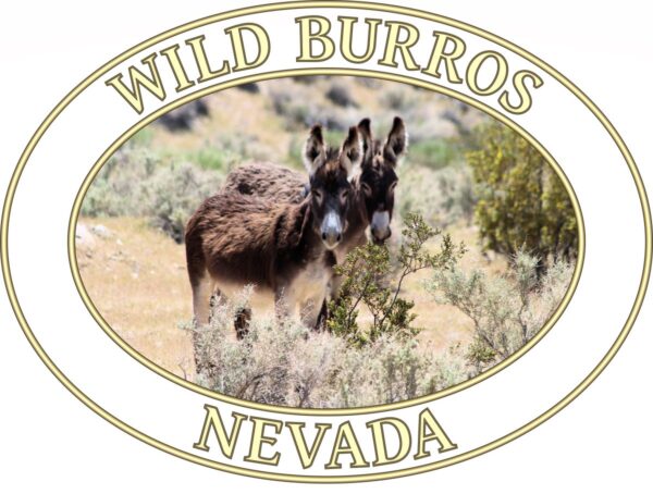 Wild Burros Nevada T-Shirt - Desert Wildlife Graphic on Comfort Colors Heavyweight (Front print, transparent graphic) - Image 2