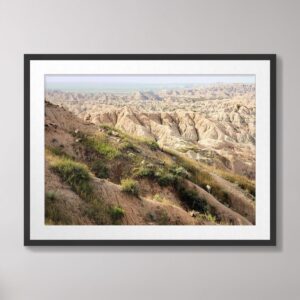 Photograph of Big Horn Sheep grazing on grassy slopes in Badlands National Park, South Dakota, with rugged rock formations in the background.