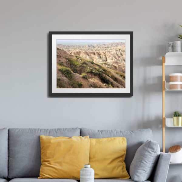 Big Horn Sheep in the Badlands National Park, South Dakota Photography - Image 2