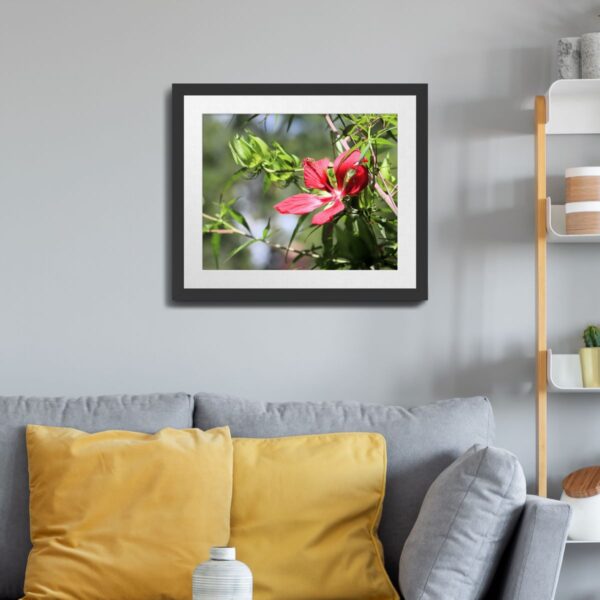 Blazing Star Hibiscus Flower in Eastern North Carolina - Vibrant Floral Art Print - Image 3