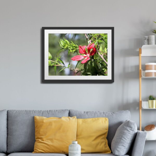 Blazing Star Hibiscus Flower in Eastern North Carolina - Vibrant Floral Art Print - Image 2