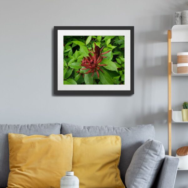 Carolina Allspice Flower in Raleigh, North Carolina - Vibrant Nature Art Print - Image 3