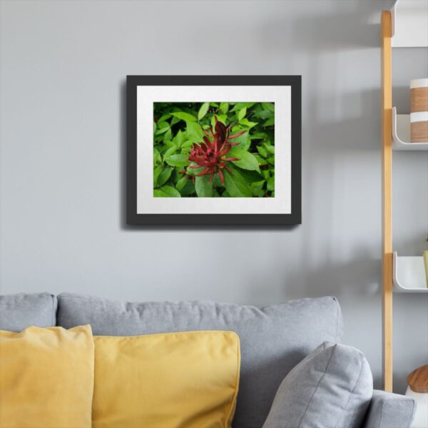 Carolina Allspice Flower in Raleigh, North Carolina - Vibrant Nature Art Print - Image 4