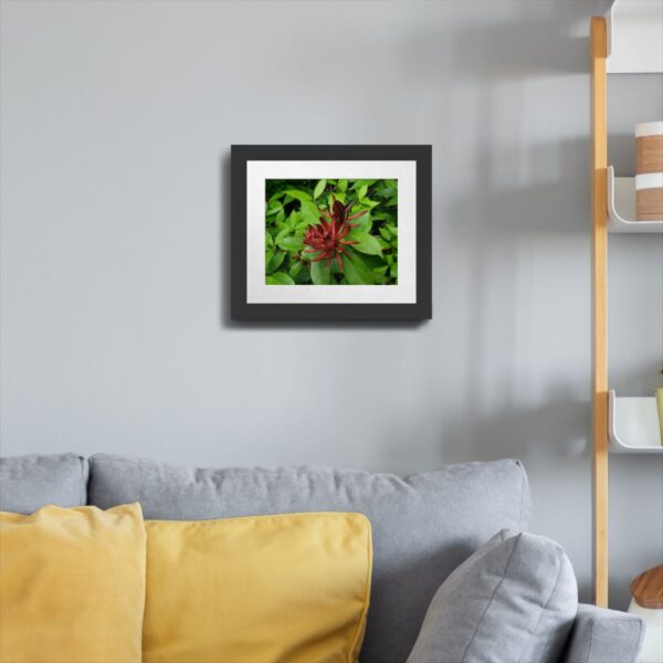 Carolina Allspice Flower in Raleigh, North Carolina - Vibrant Nature Art Print - Image 5