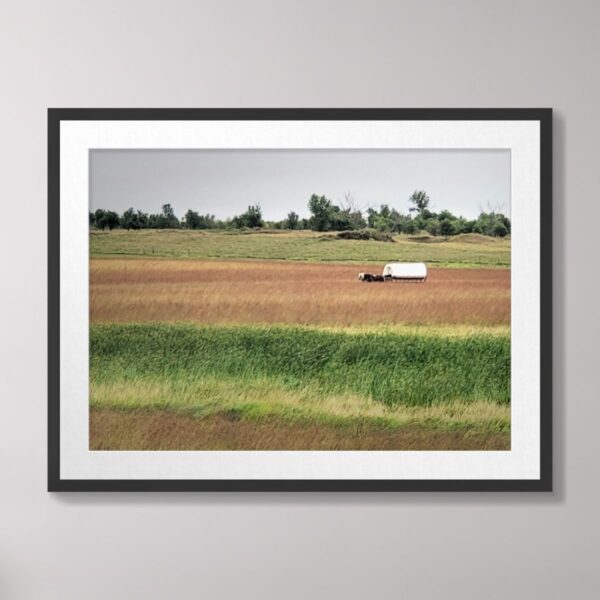 Photograph of a covered wagon on the prairie at the Laura Ingalls Wilder Homestead in De Smet, South Dakota, with tall grass and a clear sky in the background.