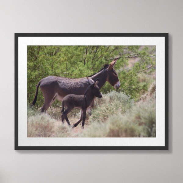 A heartwarming scene of a father and son wild donkey pair standing among desert vegetation in Beatty, Nevada, under natural sunlight.