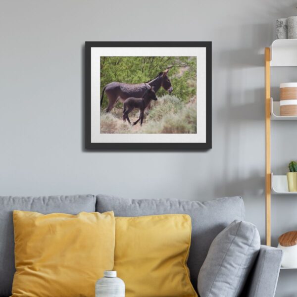 Father and Son Wild Donkeys in Beatty, Nevada - Desert Wildlife Art Print - Image 3