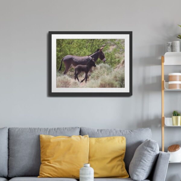 Father and Son Wild Donkeys in Beatty, Nevada - Desert Wildlife Art Print - Image 2