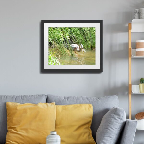 Great Blue Heron in Action - Wildlife Photography Print of Fishing Scene in Central North Carolina - Image 3