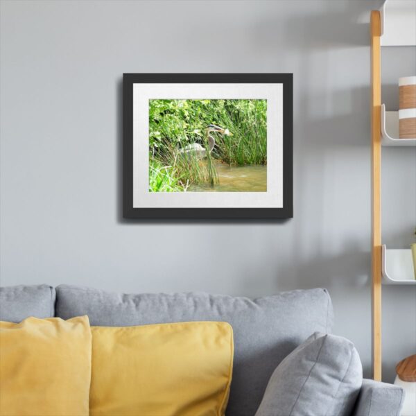 Great Blue Heron Catching a Fish in Central North Carolina - Nature Photography Print - Image 4