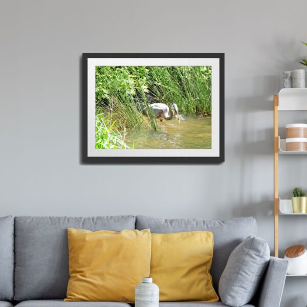 Great Blue Heron in Action - Wildlife Photography Print of Fishing Scene in Central North Carolina - Image 2