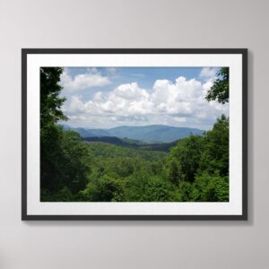 Scenic view of the Great Smoky Mountains National Park in Tennessee, featuring lush greenery and a beautiful cloudy sky.