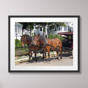 A horse-drawn carriage on the scenic West Bluff of Mackinac Island, surrounded by historic buildings and lush greenery.