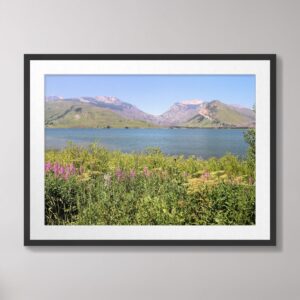 A scenic view of Jackson Lake at Grand Teton National Park with vibrant wildflowers in the foreground, green hills, and mountains under a clear blue sky.