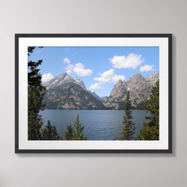 A tranquil view of Jenny Lake at Grand Teton National Park, featuring the shimmering lake framed by evergreen trees and the iconic Teton mountain range under a bright blue sky.