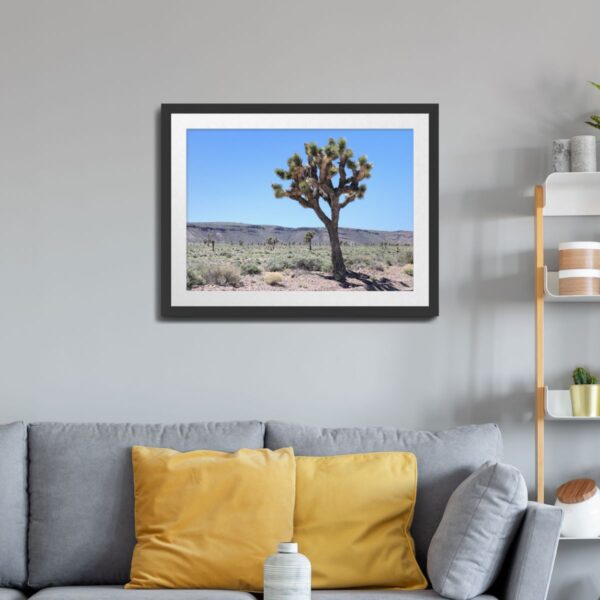 Majestic Joshua Tree in the Nevada Desert - Goldfield Landscape Art Print - Image 2