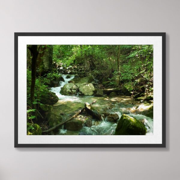 A mountain stream flowing through moss-covered rocks in a lush forest at historic Cumberland Gap, Tennessee.