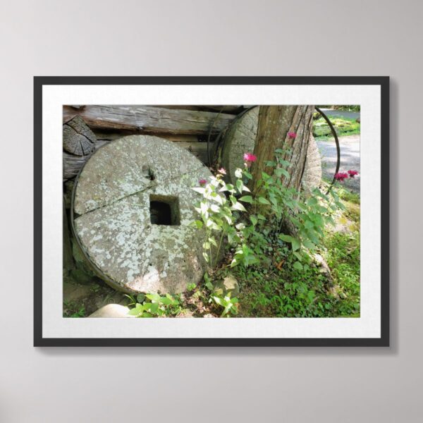 An old grist mill stone surrounded by wildflowers at Ely's Mill in Roaring Fork, Great Smoky Mountains.