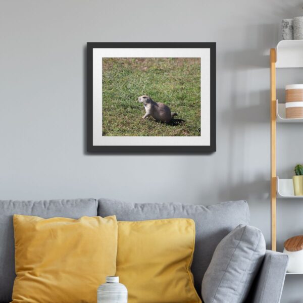 Prairie Dog at Badlands National Park, South Dakota Art Print - Image 3