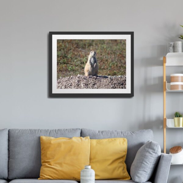 Prairie Dog at Badlands National Park, South Dakota Wall Art - Image 2