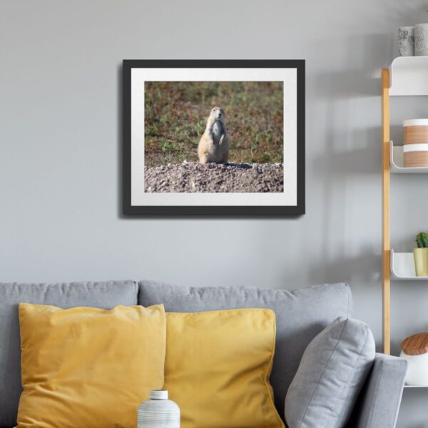 Prairie Dog at Badlands National Park, South Dakota Wall Art - Image 3