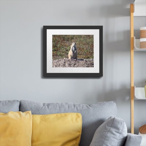 Prairie Dog at Badlands National Park, South Dakota Wall Art - Image 4