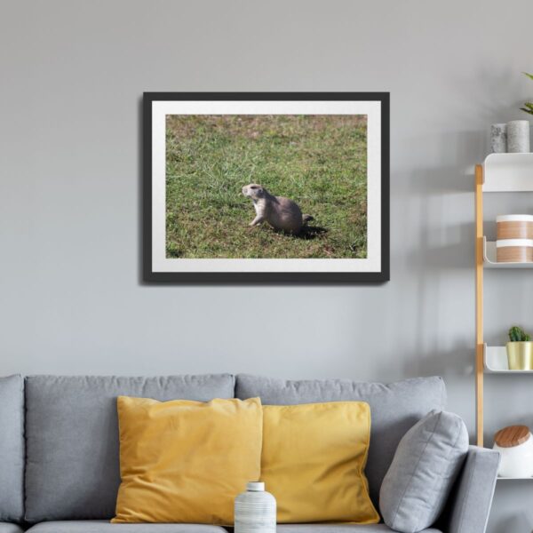 Prairie Dog at Badlands National Park, South Dakota Art Print - Image 2