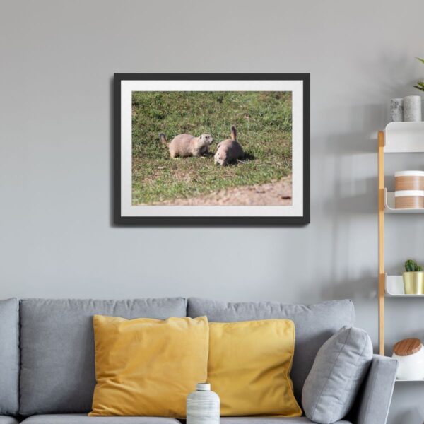 Prairie Dog Pair at Badlands National Park, South Dakota Art Print - Image 2