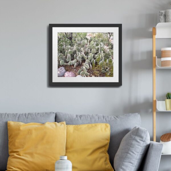 Prickly Pear Cactus in Caballo, New Mexico - Desert Plant Art Print - Image 3